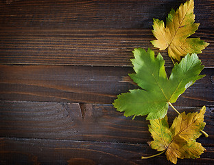 Image showing autumn background