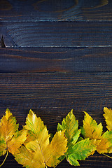 Image showing autumn background