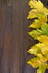 Image showing autumn background