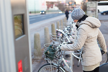 Image showing Station of urban bicycles for rent.