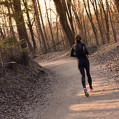 Image showing Female runner in the forest. 