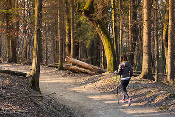 Image showing Woman hiking in nature. 