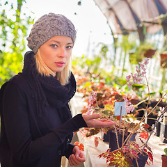 Image showing Florists woman working in greenhouse. 