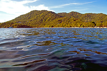 Image showing   stone in thailand kho tao bay abstract of a  water   south chi