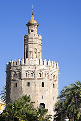 Image showing Torre del Oro