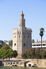 Image showing Torre del Oro