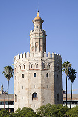 Image showing Torre del Oro
