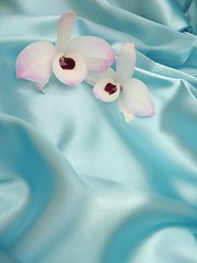 Image showing Orchid on blue satin - 1