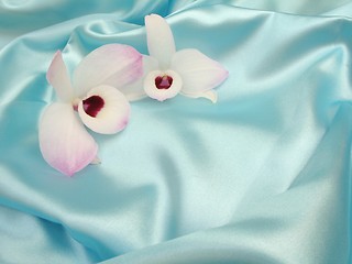 Image showing Orchid on blue satin - 2