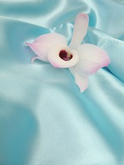 Image showing Orchid on blue satin - 4