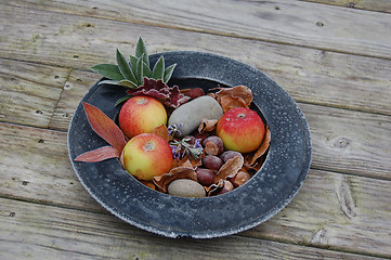 Image showing Frosty fruit - food