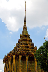 Image showing  thailand  in  bangkok  rain   temple abstract plant tree