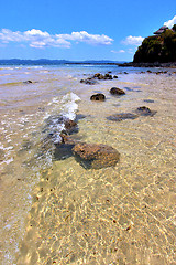 Image showing andilana   seaweed in indian   sky and rock