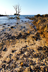 Image showing andilana   seaweed in indian ocean  mountain   sand isle  sky  r