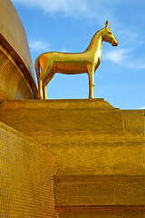 Image showing siddharta   in the temple horse   step     wat  palaces   