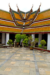 Image showing  pavement gold    temple       bangkok  plant  temple 