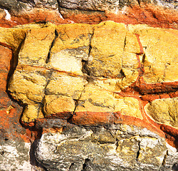 Image showing abstract lanzarote   lichens 