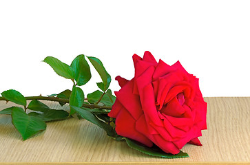 Image showing Red rose on the table surface on a white background.