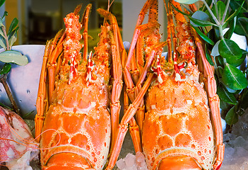 Image showing Lobster: marine crustaceans of the Mediterranean sea.
