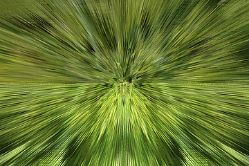 Image showing Green unusual background