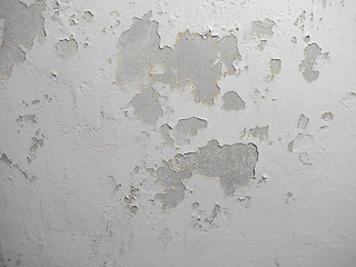 Image showing Damp moisture