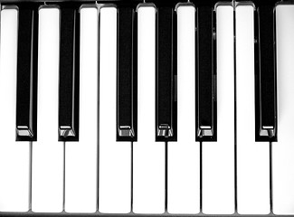 Image showing Music keyboard