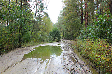 Image showing forest road with big pool after rain