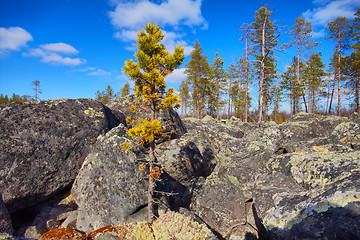 Image showing Glacial moraine of huge pieces of granite.