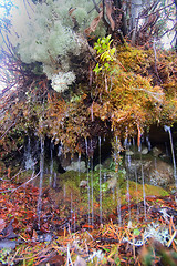 Image showing Fountain of tears - beautiful phenomenon of nature