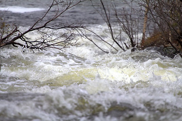 Image showing Taiga flowing spring river