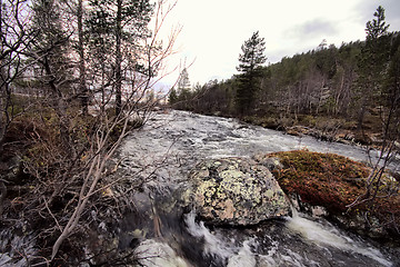 Image showing Taiga flowing spring river