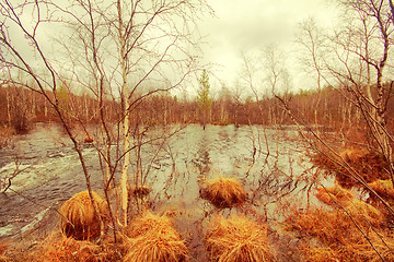 Image showing River flood in the spring.  in the forest.