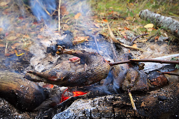 Image showing Exclusive food game bird on a spit