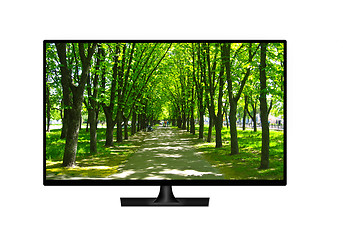 Image showing television set with image of green park isolated 
