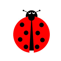 Image showing Ladybug