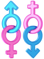 Image showing Set of male and female gender symbols chained together on white