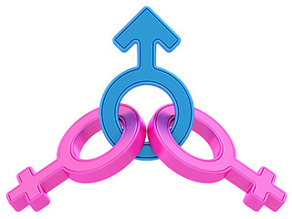 Image showing Male and two female gender symbols chained together on white