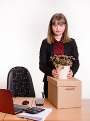 Image showing Girl in office about desktop keeps indoor potted plant