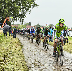 Image showing The Cyclist Maciej Bodnar on a Cobbled Road - Tour de France 201