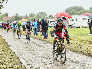 Image showing The Cyclist John Darwin Atapuma on a Cobbled Road - Tour de Fran