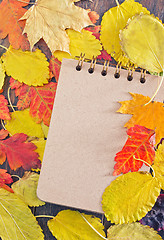 Image showing autumn background