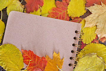 Image showing autumn background