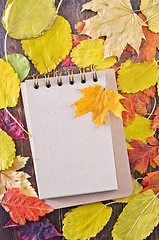 Image showing autumn background