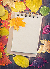 Image showing autumn background