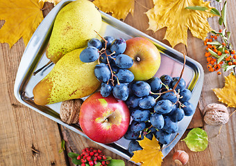 Image showing autumn harvest