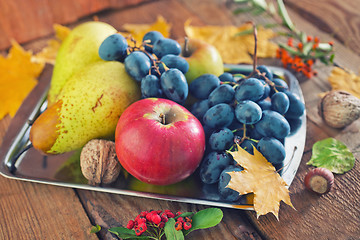 Image showing autumn harvest