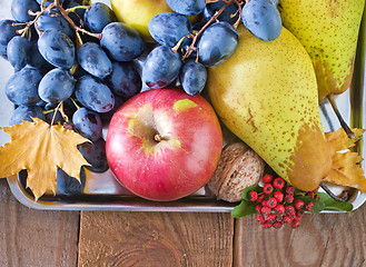 Image showing autumn harvest