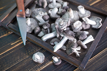 Image showing raw mushrooms