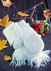 Image showing mittens and scarf