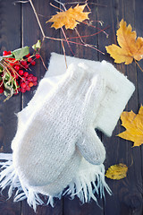 Image showing mittens and scarf